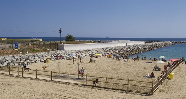Playa para perros a Barcellona