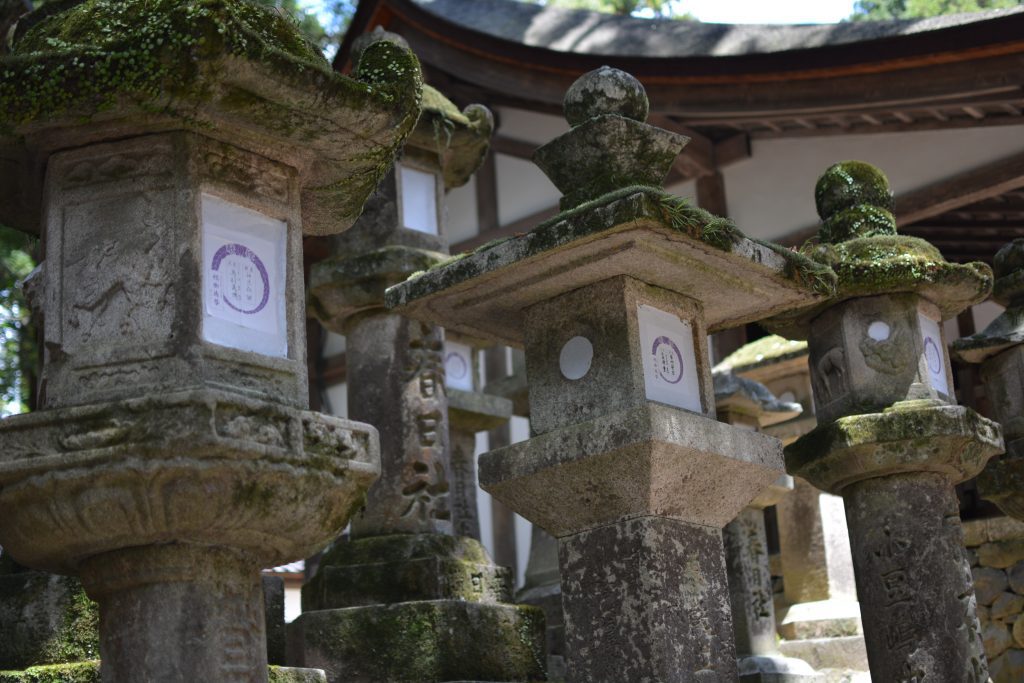 lanterne di pietra, santuario di Kasuga Taisha 